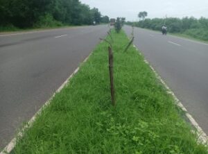 Notice on Highway Plantation defects