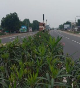 Letter on Inadequate Road Traffic Sign